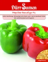 Dürr-Samen - Paprika Bendigo F1 - Saatgut - 1086