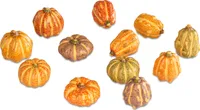Mini Deko Kürbis HERBSTFARBEN H. 4cm zufällige Auswahl Formano H25