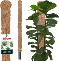 KOTARBAU® Mechová tyč pro Monsteru Kokosová tyč Přírodní ⌀ 3,2 x 80 cm Tyč na rostliny Podpěra pro rostliny Monstera Kokosová tyč Tyč na rostliny Tyč na rostliny Mechová tyč Monstera Podpěra pro rostliny Květinová tyč Mechová tyč