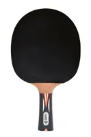 Raketa na stolný tenis DONIC Top Team 900