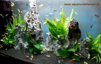 Akvarijní sada pro 100 litrů, rostliny, štěrk, dekorace (IX)