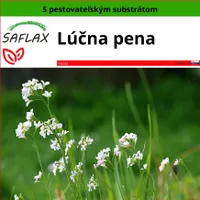 SAFLAX - lúčna pena - Cardamine pratensis - 100 Semená - S pestovateľským substrátom bez klíčkov