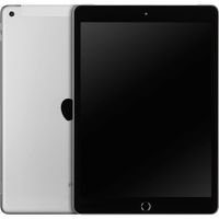 Apple 10.2inch iPad Wi-Fi +Cell 256GB  Silver    MK4H3FD/A