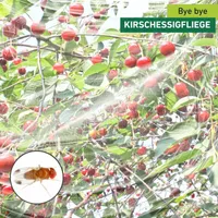 Kirschessigfliegen Schutznetz für Früchte