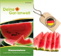 Wassermelonen Sugar Baby Samen - Citrullus lanatus - Wassermelonensamen - Obstsamen - Saatgut für 10 Pflanzen