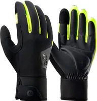 ROCKBROS Winterhandschuhe Thermo Handschuhe Warm Touchscreen Fahrrad/Motorrad, L