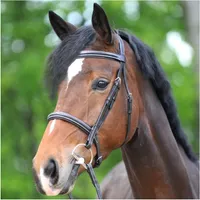 Zaumzeug Reiten Kavalkade Akila Hunter