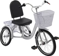 Stabilizovaná tříkolka pro dospělé stříbrná Přední kolo 20'' Zadní kolo 16''
