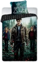 Harry Potter Film Bettwäsche 2tlg Set 135x200 80x80 cm 100% Baumwolle