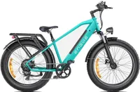 ENGWE E26 - Elektrokolo 250W 768WH 140KM Dojezd - Modrá