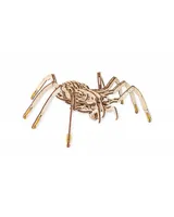 3D puzzle, Pavúk, EWA, Drevo, 293 dielikov