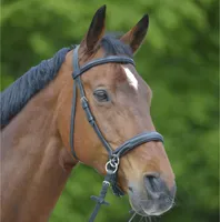 Waldhausen Trensenzaum Star Gebisslos Sidepull Schwarz Pony