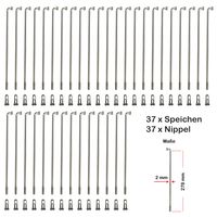 37 Stück Speichen 278mm Spokes silber NIROSTA 2mm inkl. Messing Speichennippel