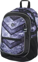 Baagl Schulrucksack für Jungen - Schulranzen für Kinder mit ergonomisch geformter Rücken, Brustgurt und reflektierende Elemente (Gate)