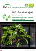 SAFLAX - BIO - Bazalka thajská - Ocimum basilicum - 250 Semená