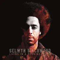 Selwyn Birchwood: Living In A Burning House - Alligator  - (CD / Titel: H-P)
