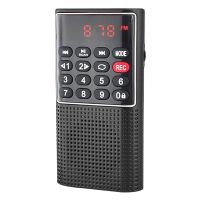 L-328 FM Radio Multifunktional wiederaufladbar tragbarer USB TF MP3 Player Handheld-Lautsprecher für Outdoor-Schwarz
