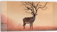 DEQORI Küchenrückwand Glas 80x40 cm 'Zauberwaldhirsch' Spritzschutz Bad Rückwand Küche