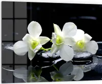 DEQORI Küchenrückwand Glas 80x60 cm 'Orchidee mit Zen-Steinen' Spritzschutz Bad Rückwand