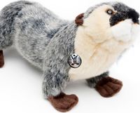 Grottenolm Kuscheltier weiß 34 cm Schwanzlurch Olm Plüschtier PROTEUS Molch 