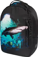 Baagl Rucksack Daypack Teenager Studenten Tagesrucksack Laptop Rucksack (Tiger)