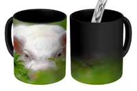 MuchoWow® Magický pohár Ošípané - Zvieratá - Veľké 350 ml Pohár na zmenu farby Darček Nápad na darček - Foto hrnček