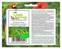 30x Schnittlauch Allium schoenoprasum Lauch Garten Gemüse - Samen PW99