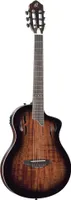 Ortega RTPDLX-ACA TourPlayer Deluxe
