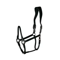 Catago Equestrian Lederhalfter Schwarz Full