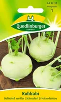 Quedlinburger Saatgut - Kohlrabi Delikateß weißer - Samen - 443232