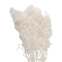 Suszone kwiaty Clayre & Eef 60 cm Białe suszone kwiaty