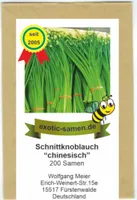Schnittknoblauch, chinesisch - ausdauernd - Bienenweide - Allium tuberosum - 200 Samen