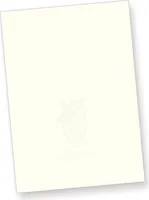 Gohrsmühle Briefpapier mit Wasserzeichen edel hochwertig (100 Blatt) DIN A4, 90 g/qm, naturweiß