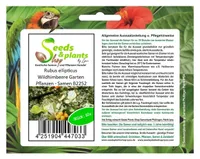 10x Rubus ellipticus Wildhimbeere Garten Pflanzen - Samen B2252