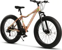Mountainbike 26 Zoll Fat Tire 4.0 MTB für Herren Damen und Jungen 21 Gang Shimano, Kettenschaltung, mechanische Scheibenbremse, Fat Bike Mountainbike