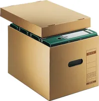 Esselte Leitz 10 Archivboxen 6081