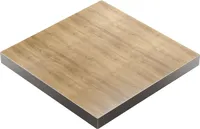 BRASIL | Gastro Tischplatte | B:T 60 x 60 cm | Eiche | Quadratisch | Gastro Tischplatte