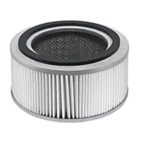 Filtr ABS HEPA T 191 i T 10/1