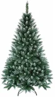 Weihnachtsbaum beleuchtet Tannenbaum