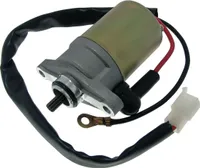 Anlasser Motor E Starter REX RS450 Baotian BT49QT Ecobike Benzhou, YIYING YY50QT
