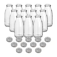 gouveo 12er Set Saftflasche 250 ml mit Schraub-Deckel silberfarben - Kleine Glasflasche 0,25 l mit TO43 Verschluss - Leere Flasche zum Befüllen für Küche und Haushalt