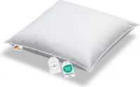 Kopfkissen Daunenkissen 100% sibirische Daunen 500g leicht weich 80x80