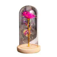 Led Lampe Glas Abdeckung Ewige Blume Geburtstag Geschenk für Freundin  Muttertag Pfingstrose Hortensie
