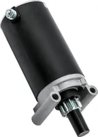 Anlasser  für KOHLER COURAGE Cub Cadet G4030  G4035 G4050  Motorstarter