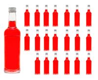 leere Glasflaschen 100 ml Likörflasche Schnapsflasche Saft-flasche BOR  Flaschen 