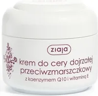 Przeciwzmarszczkowy krem na dzień z koenzymem Q10 50 ml