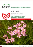SAFLAX - Centaury - Centaurium erythraea - 250 Semená