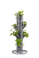 Gusta Garden SISSI STRAWBERRY starter selbstbewässernde Pflanzgefäße 4 Etagen, anthrazit