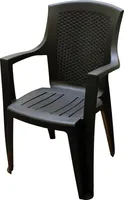 PROGARDEN 87101 Stapelsessel Eden, anthrazit