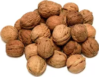 IGART Walnüsse mit Schale 3kg 3000g Naturbelassen OMEGA-3 schmackhafte reif Walnüsse Unbehandelt